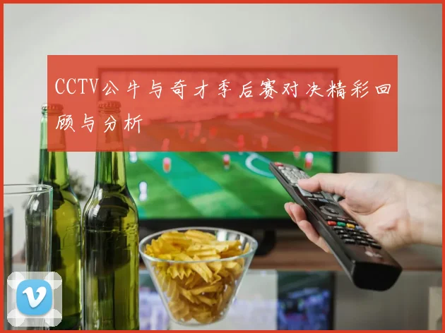 CCTV公牛与奇才季后赛对决精彩回顾与分析
