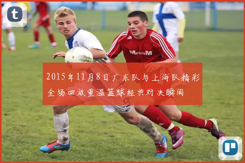 2015年11月8日广东队与上海队精彩全场回放重温篮球经典对决瞬间