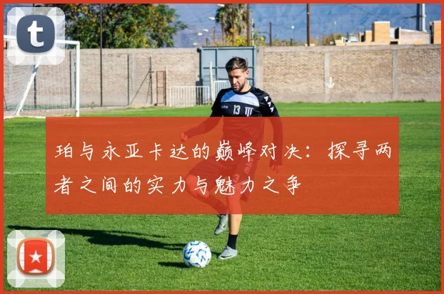 珀与永亚卡达的巅峰对决：探寻两者之间的实力与魅力之争