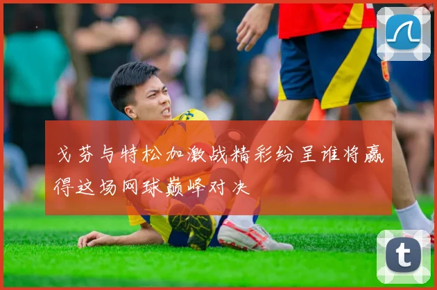 戈芬与特松加激战精彩纷呈谁将赢得这场网球巅峰对决